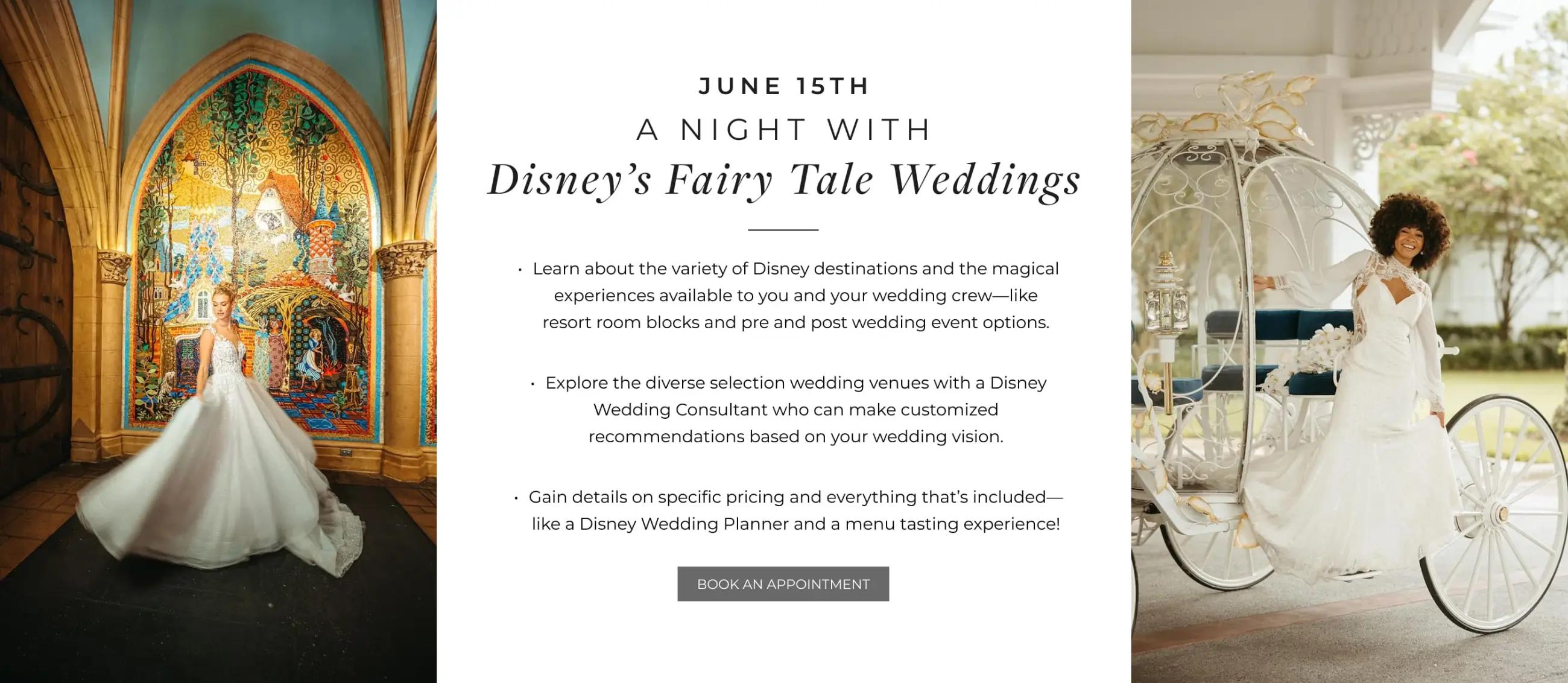 Desktop A Night with Disney's Fairy Tale Weddings Banner