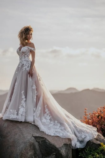 Allure Bridals Style #A1160 #8 thumbnail